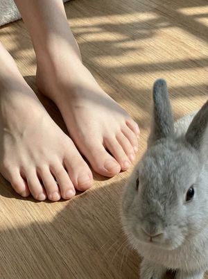 Zoom in on the toes

Author: CHAO2U AI
Source: https://x.com/CHAO2U_AI/status/1992059240287244364
