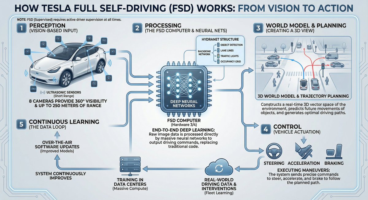 Tesla FSD 信息图解