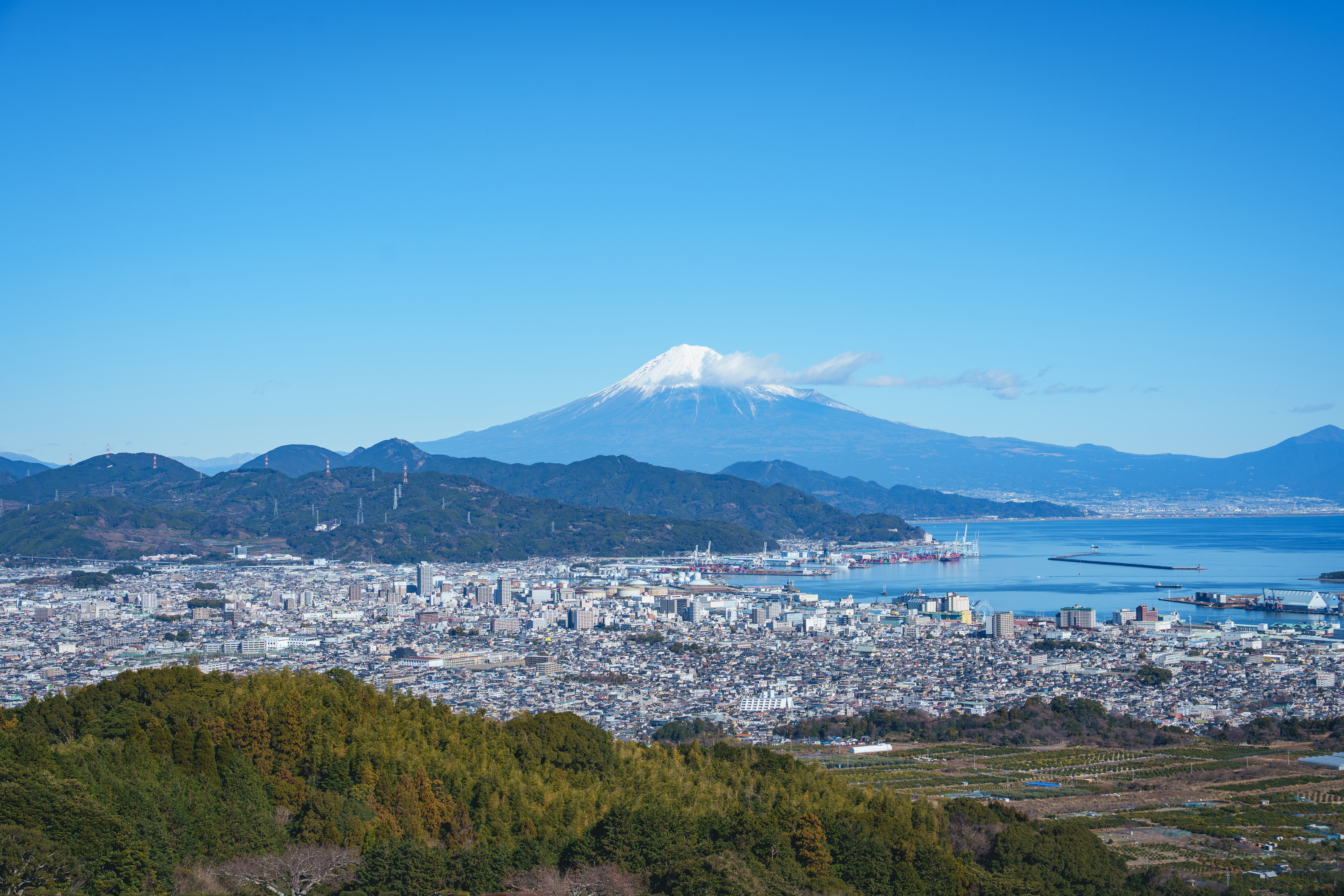 Synology Photos DSC07754.JPG