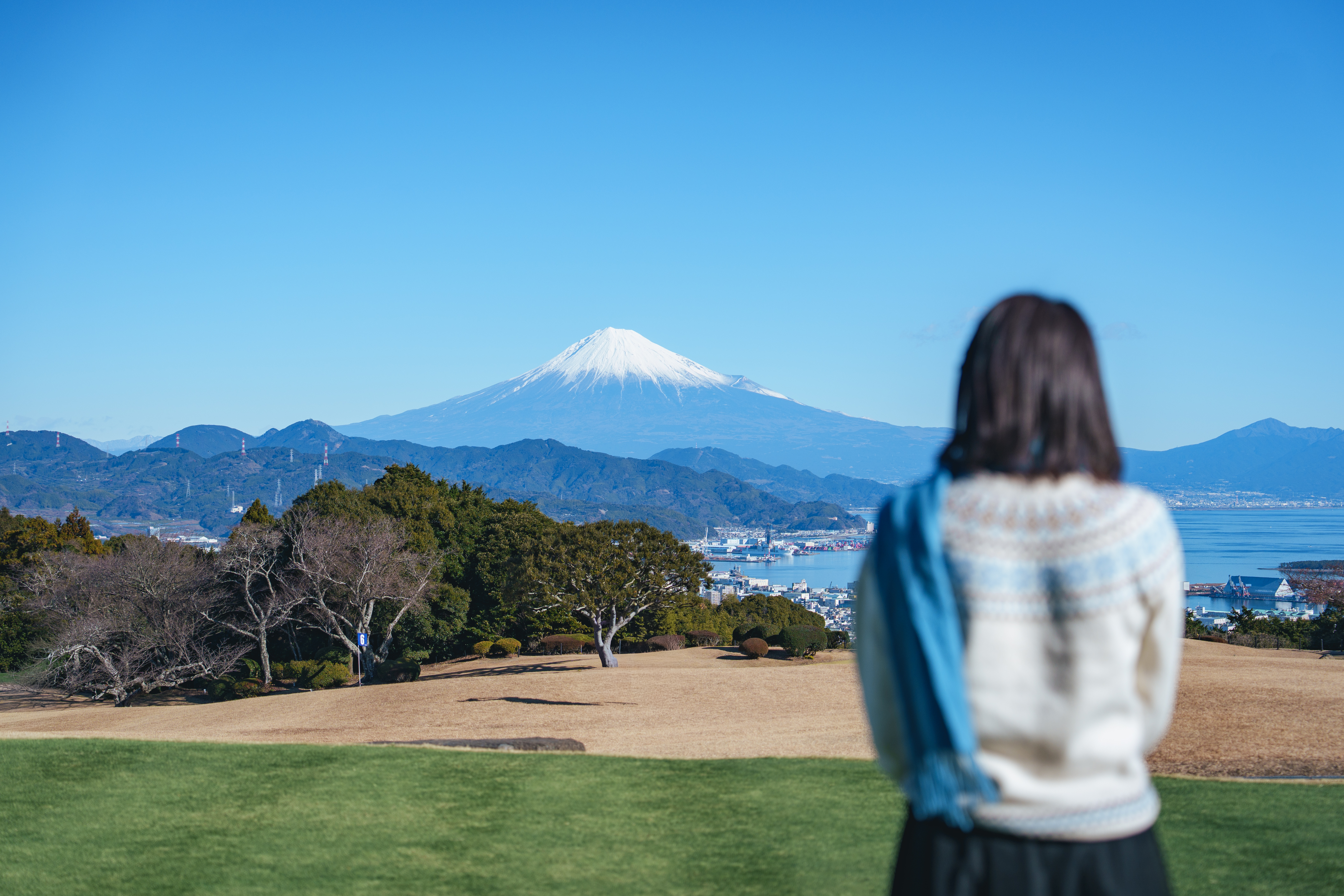 DSC07677 from Synology Photos.JPG