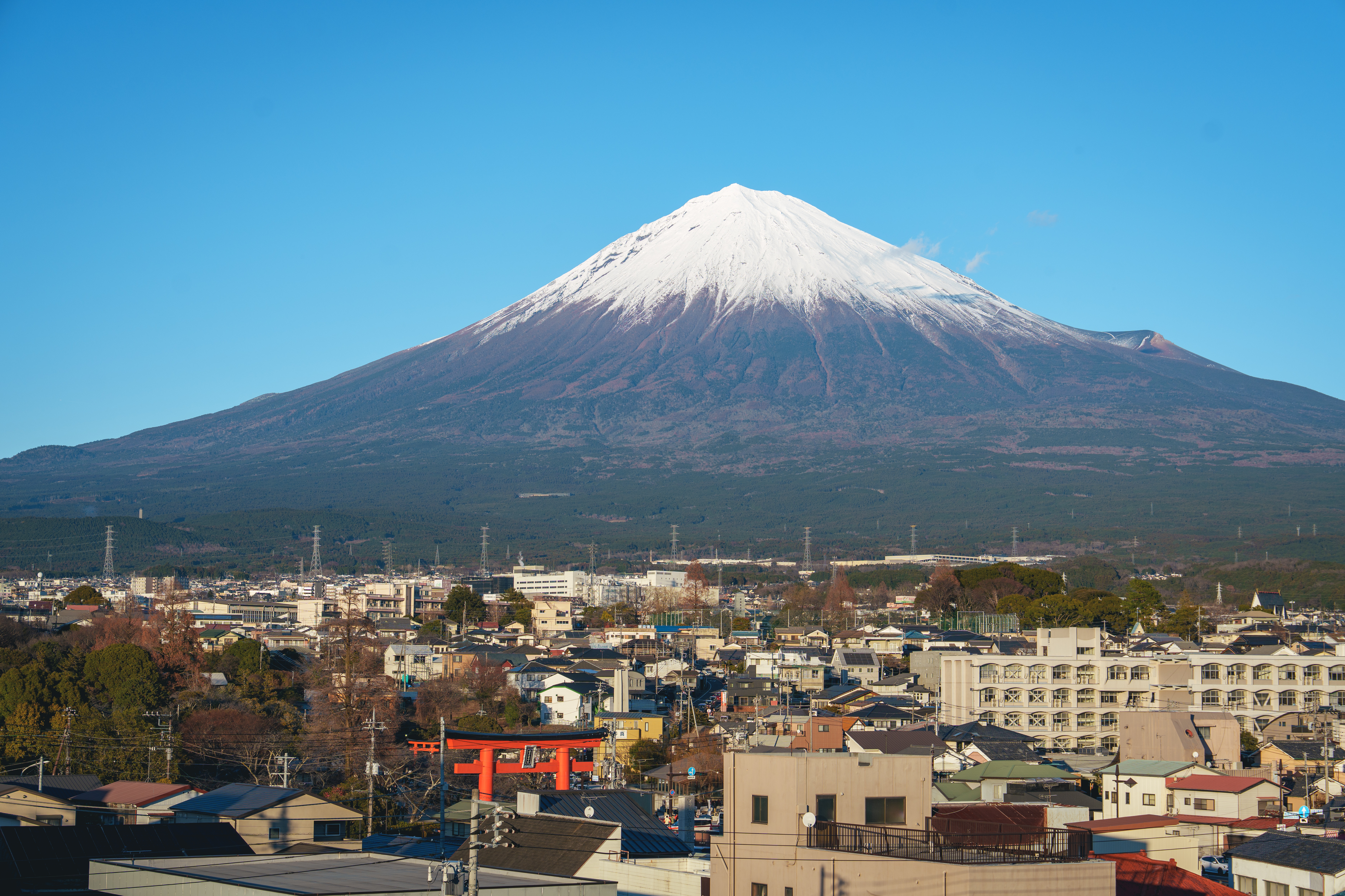 DSC07776 from Synology Photos.JPG