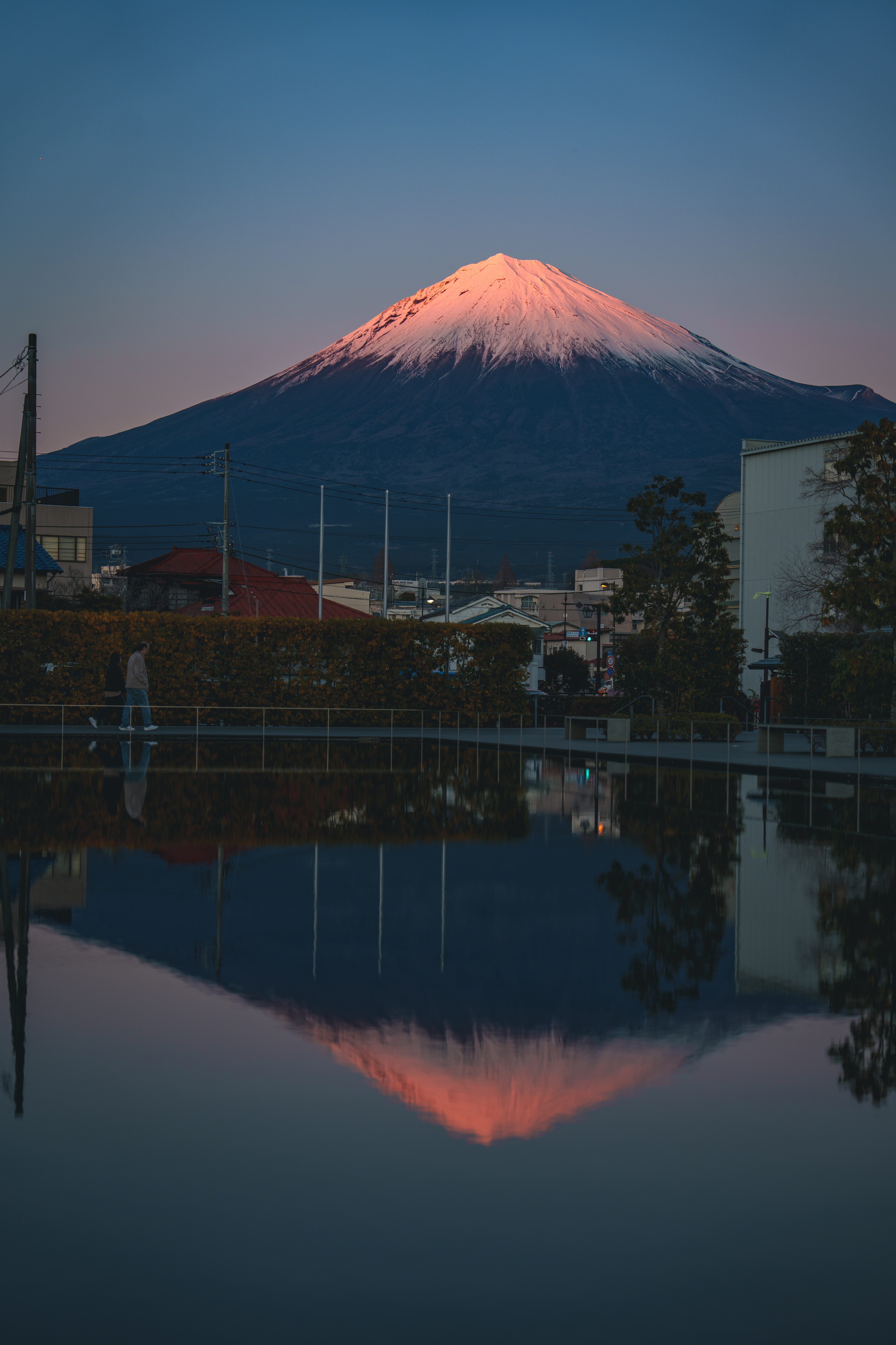 Synology Photos DSC07835.JPG