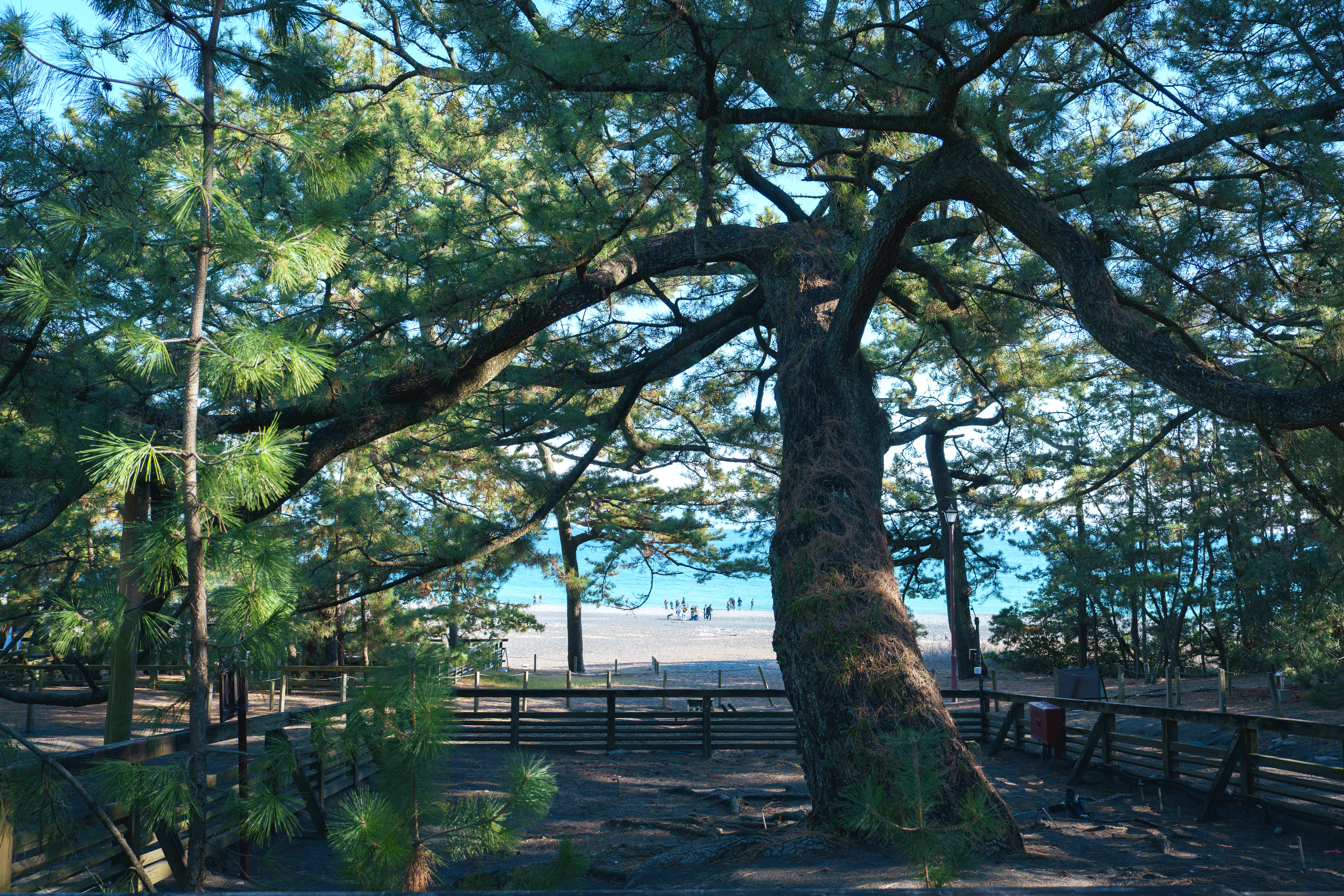 Synology Photos DSC07469.JPG