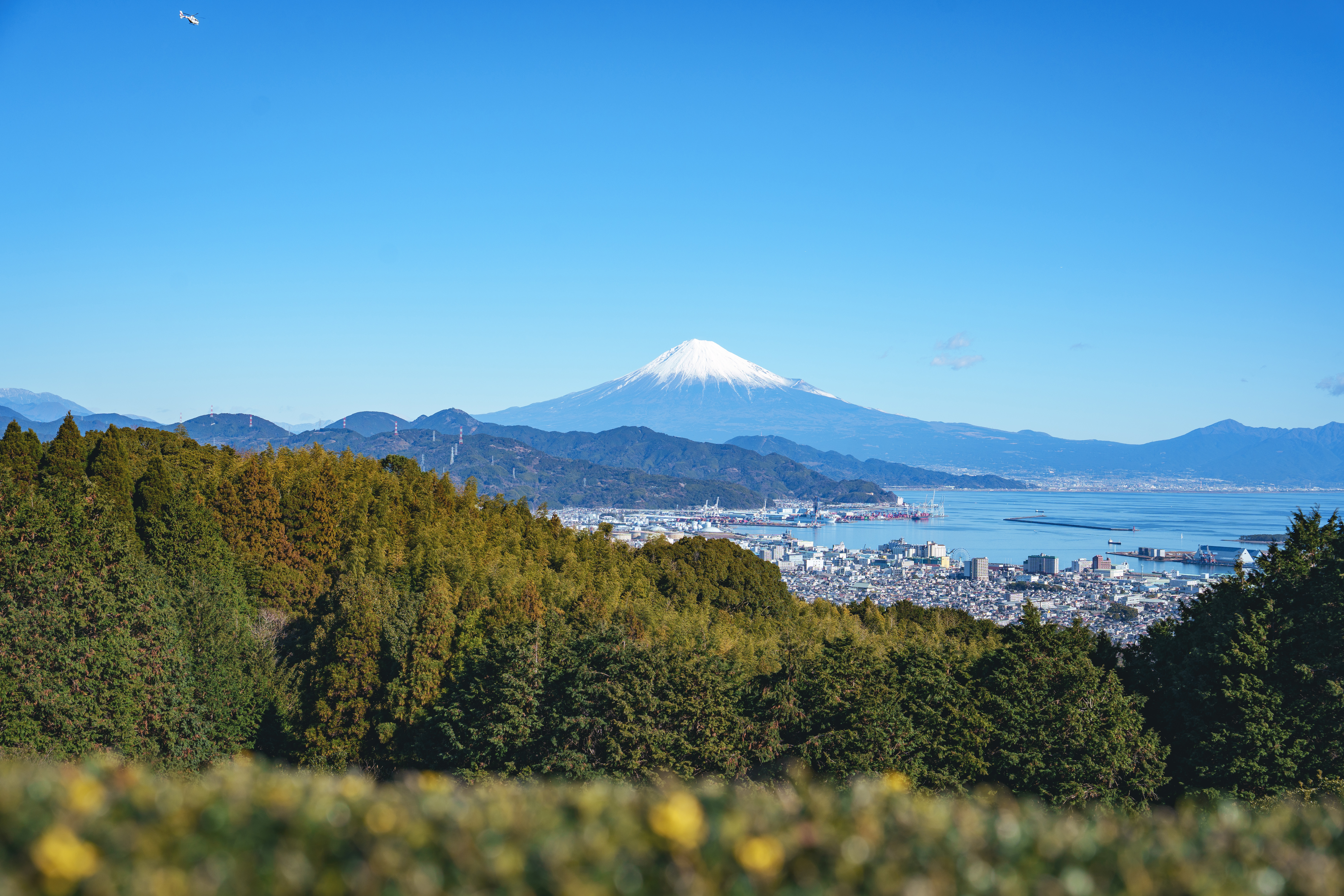 Synology Photos DSC07689.JPG