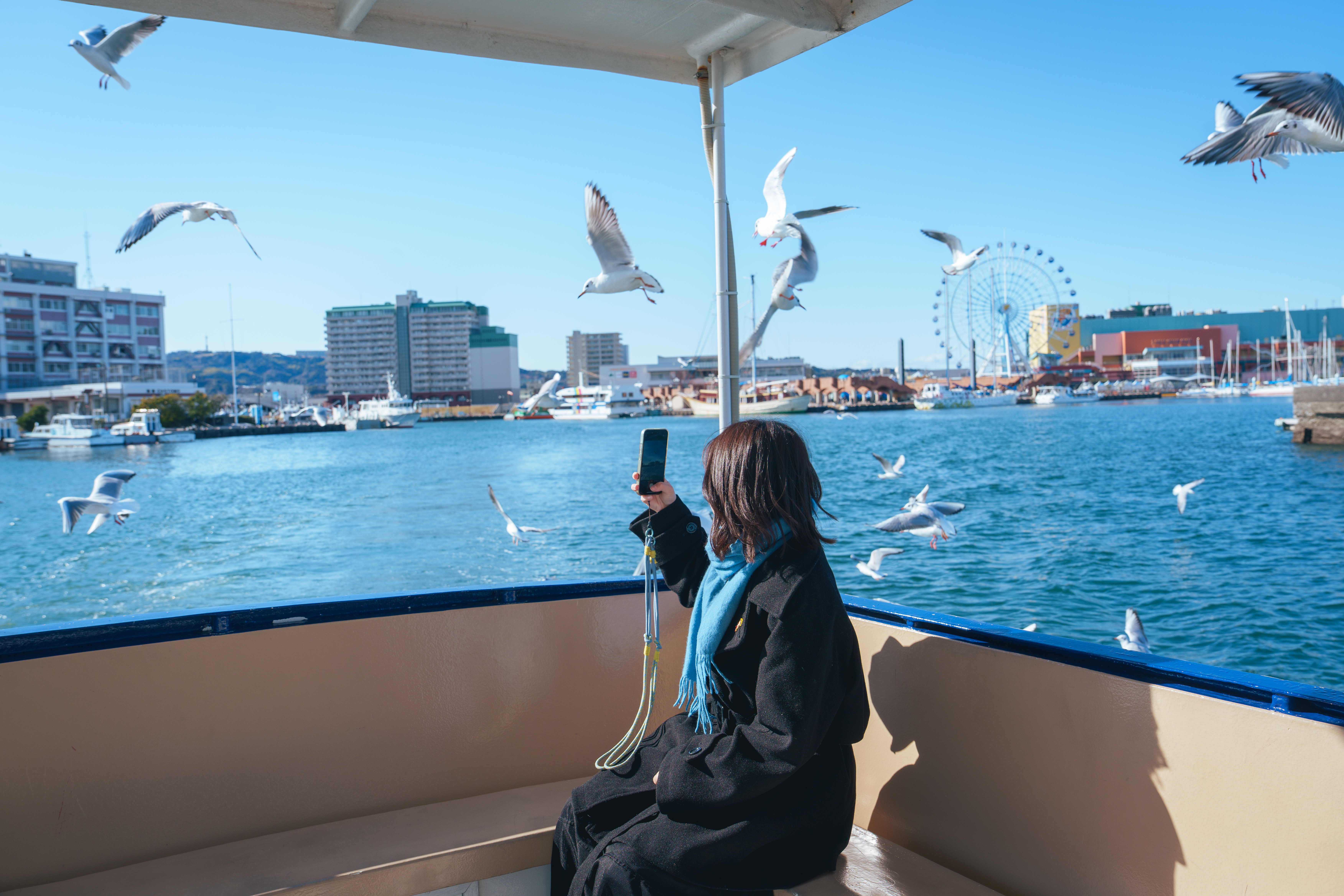 Synology Photos DSC07396.JPG