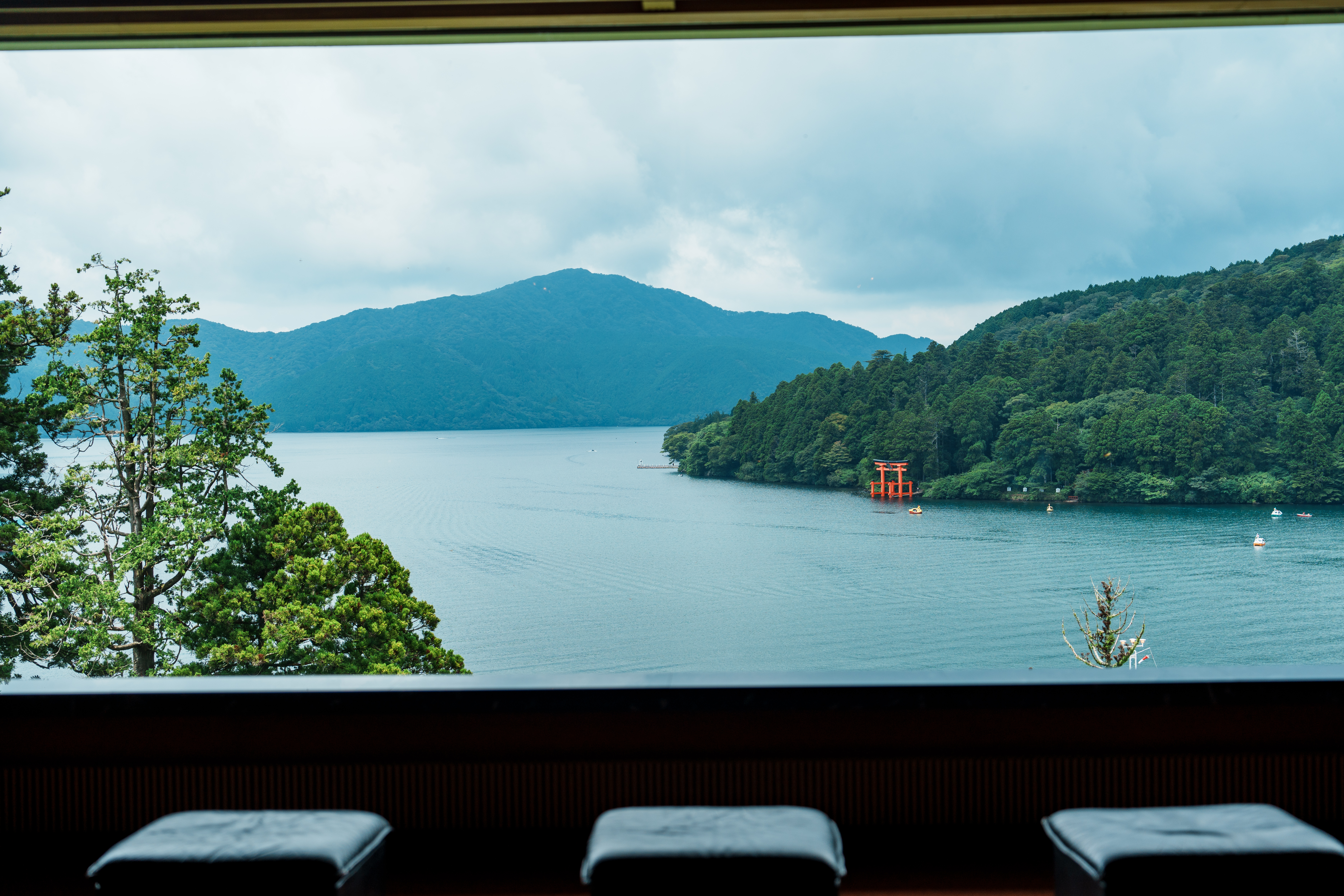 Synology Photos DSC03926.JPG