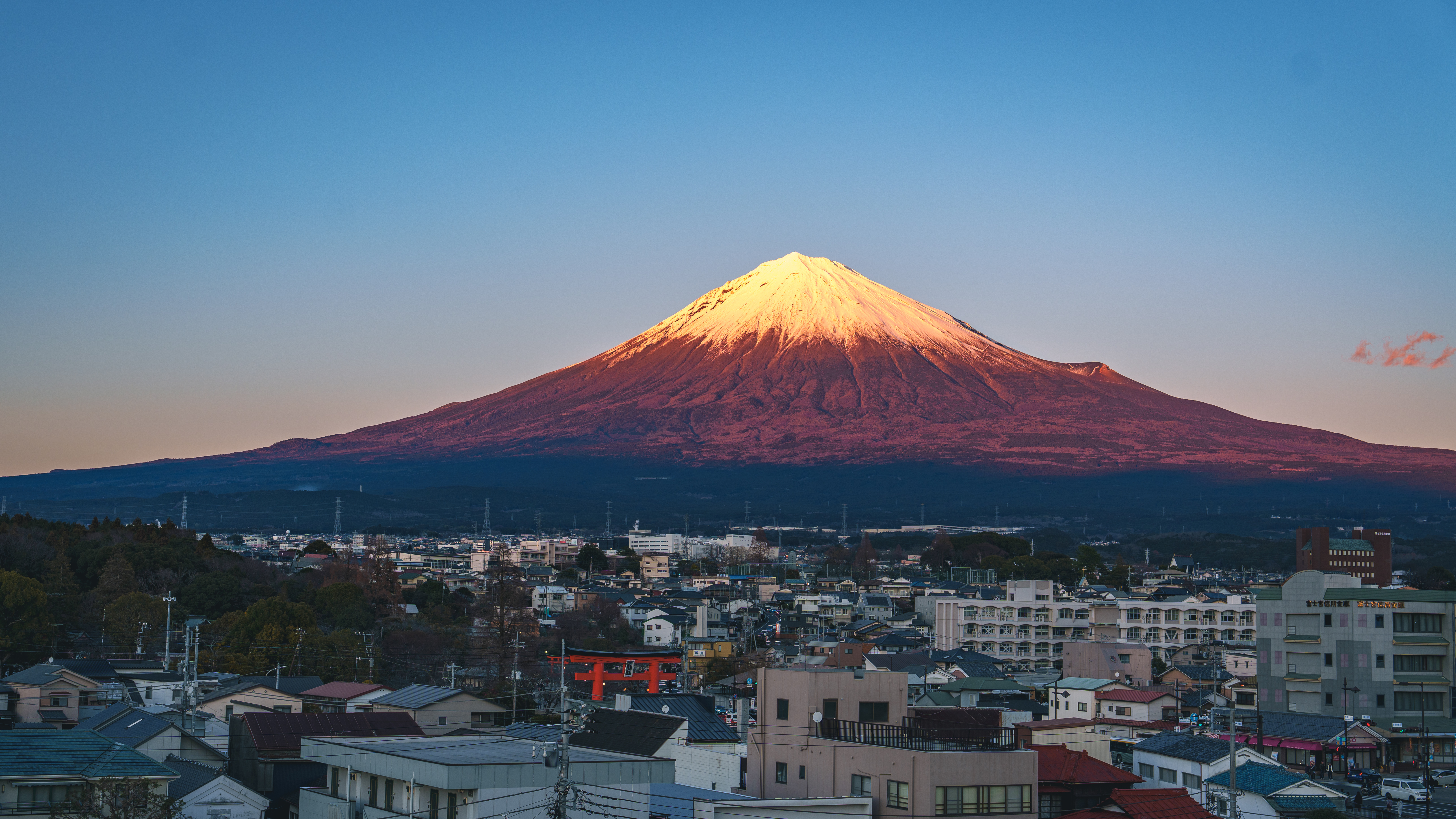 Synology Photos DSC07808.JPG