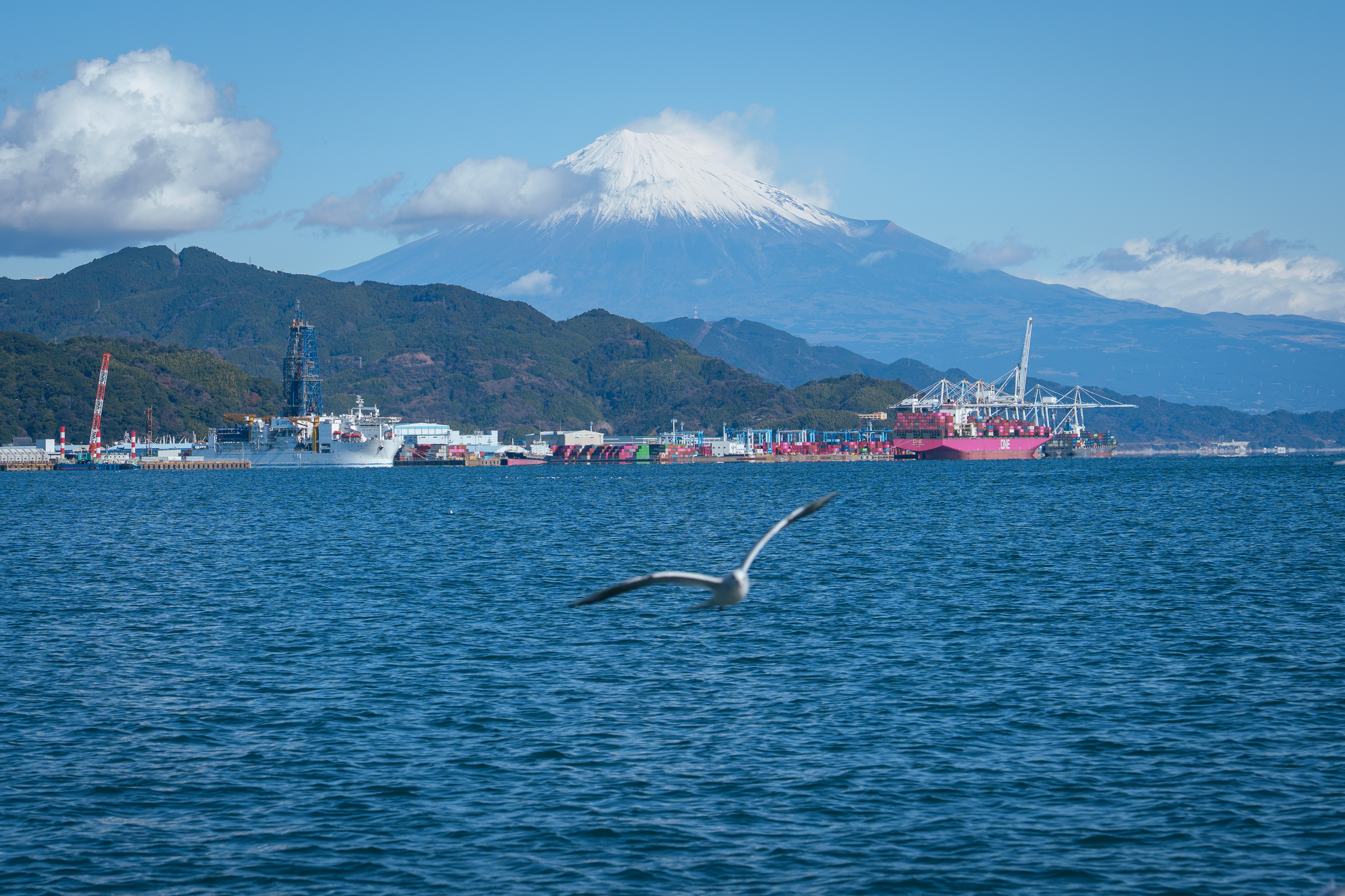 Synology Photos DSC07410.JPG