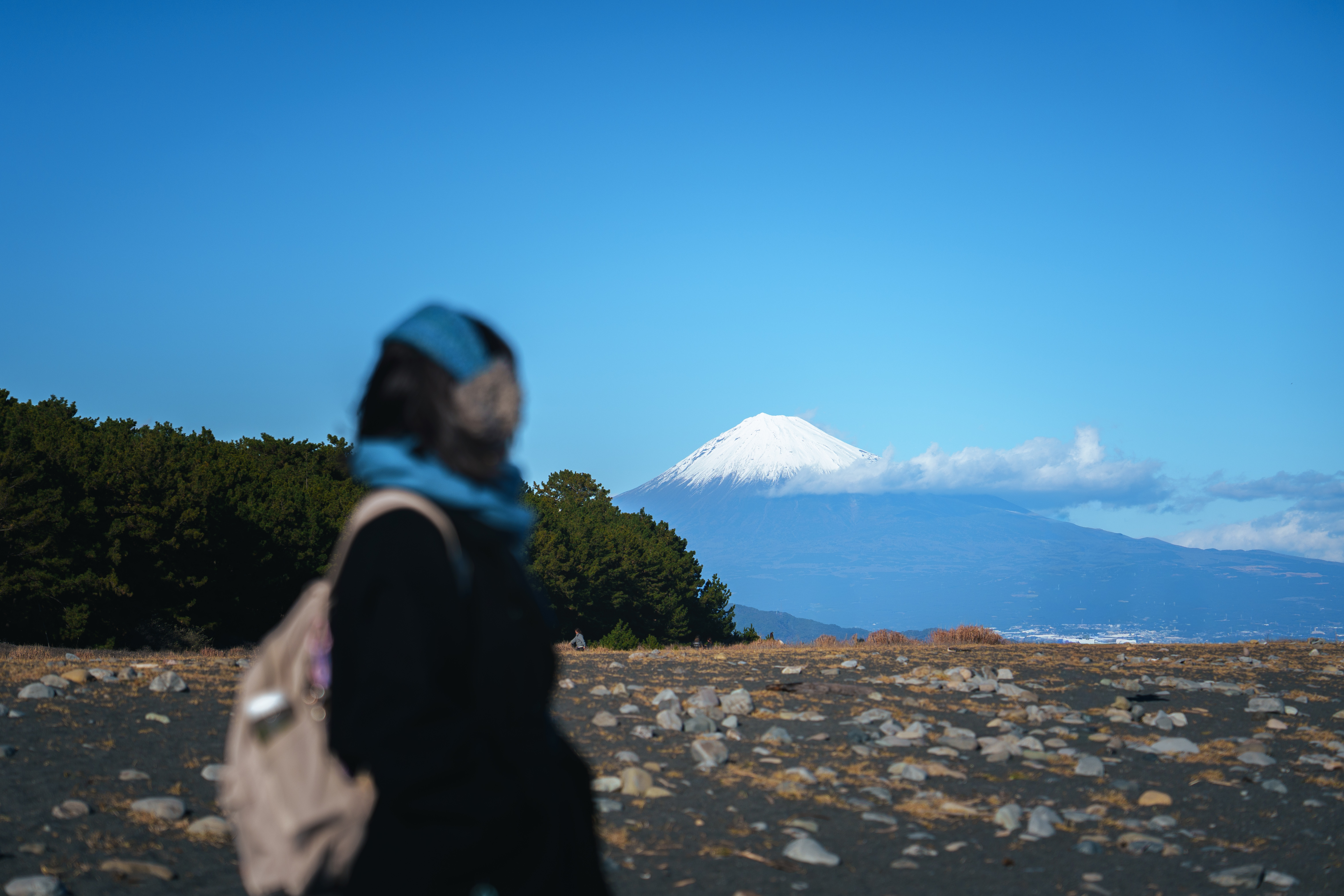 Synology Photos DSC07479.JPG